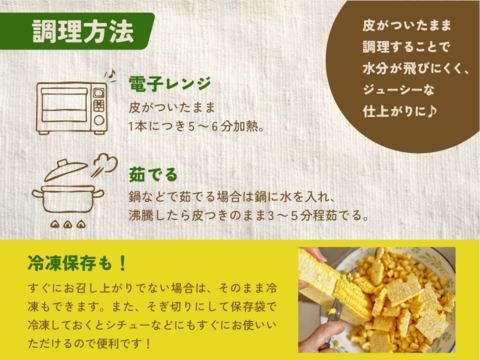 わくわくコーン8本 スイートコーン とうもろこし 7月26日から収穫分 予約 3キロ箱使用 商品ID96585