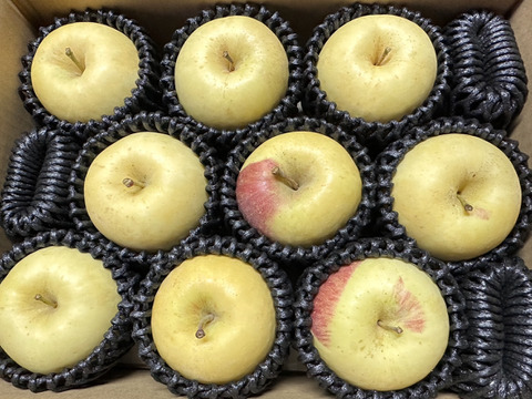 圧倒的存在感！超絶希少りんご「白ふじ」約3kg箱　8〜10玉