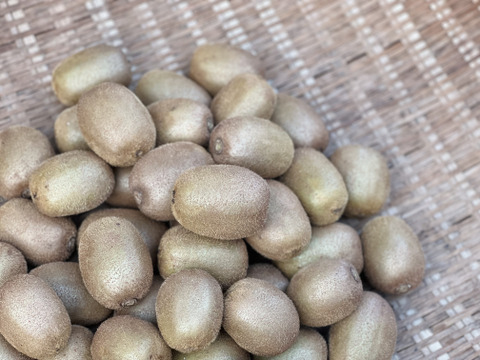 自然農のキウイフルーツ(2kg)