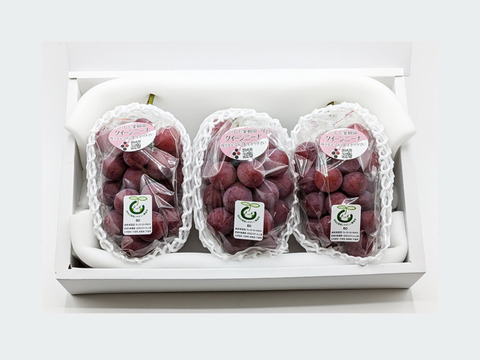 紅の芳醇【プレミアム贈答】クイーンニーナ約500g×3房 （合計約1.5kg）長野県認証/特別栽培同基準（信州の環境にやさしい農産物認証50）【冬ギフト】