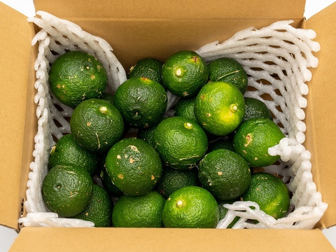 有機JAS 青ゆず１.５キロ -2025年産-