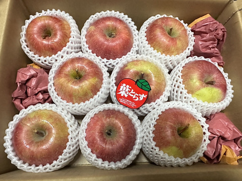 わがままりんご！「葉取らずサンフジ」約3kg箱8〜10玉　キャップ詰