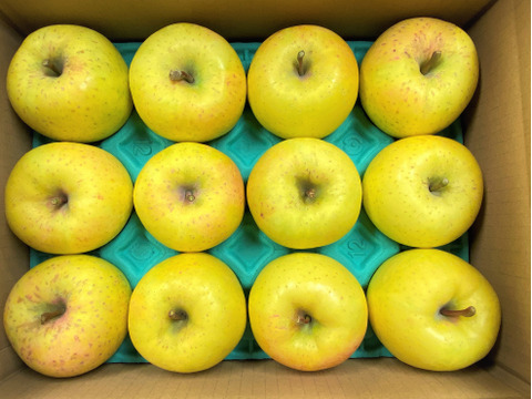 星の金貨　3キロ箱（10個から13個）　訳あり品含む