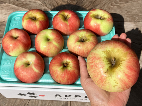 完売御礼🚚酸味系りんご🍎彩香🍎3kg お得な訳ありご家庭用 青森県特別栽培認証取得