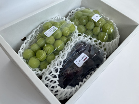 【敬老の日ギフト】詰合せ 3房（シャインマスカット入）