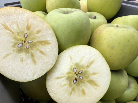 魅力爆発中！「こつぶのまんま」青林　約3kg箱11〜14玉