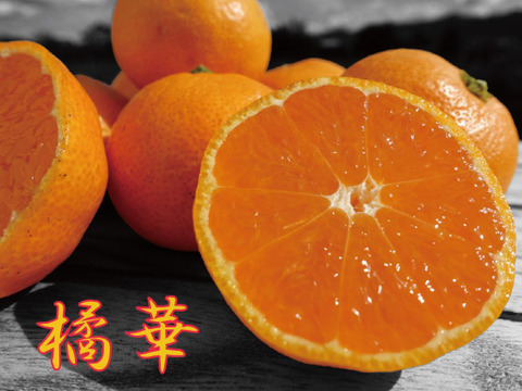温州みかん“かほる橘華” 5kg（箱込み）：和歌山県産のみかん