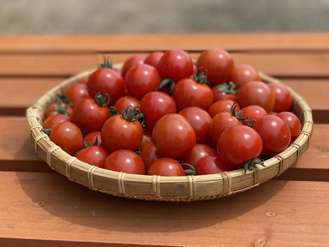 【訳アリ】特別栽培&JGAP認証農場の『ふらの産ミニトマト』2kg