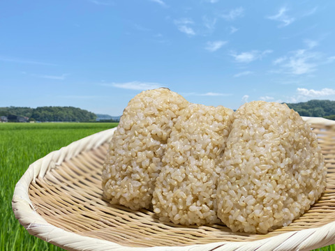 【農薬・化学肥料不使用】「いのちの壱」玄米10㎏<有機JAS認証(転換期間中)>『加賀米野菜基地』