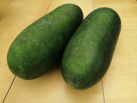 冬瓜 (トウガン)２個入り【完熟・食べごろ】