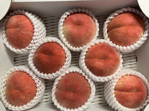 晩星 桃　摘果桃　10kg 硬い　カリカリ さくら』通販 【カリカリ桃】 その「カリカリ」食感と上品な甘味