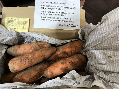 40%OFF！！丸かじり人参！(5.8kg)【農薬不使用】