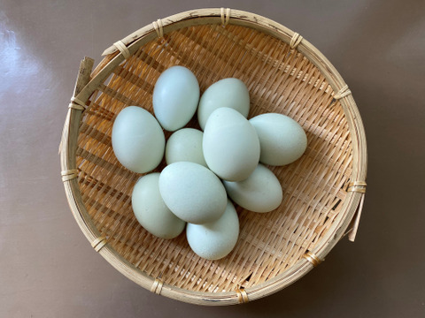 【平飼い】青卵・アローカナと黒翡翠鶏の卵 10個