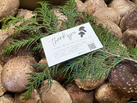 【自然栽培】約900g 原木栽培 生しいたけ 原木しいたけ