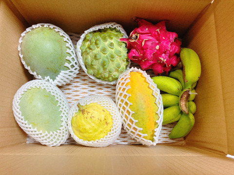 【夏季限定】沖縄まるごと！！おまかせフルーツセット約2,5kg