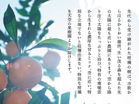 【訳あり】みかん そらみかん 天空の果樹園 愛媛産みかん 5kg