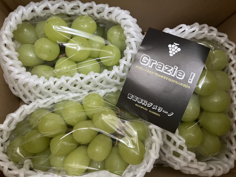 最終セール🍇【訳あり】★家庭用シャインマスカット 2-5房