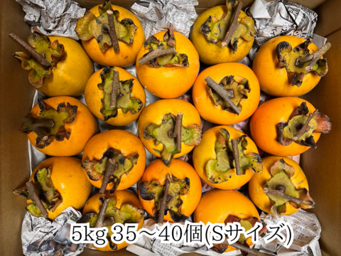 干し柿用 愛宕柿(あたご柿) 5kg
