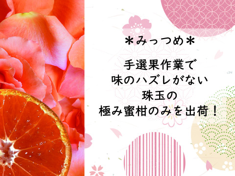 【紀州みかん“かほる橘つ華”】　3ｋｇ（箱込み）