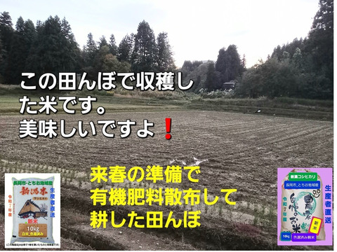 【令和6年産－新潟・とちお産コシヒカリ】豊かな山の湧水で育てたお米（精米2kgポリ袋／農家直送・送料相当分値引き中）／箱込み総重量／お試し米