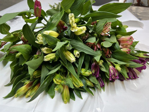 おまかせ花束　アルストロメリア