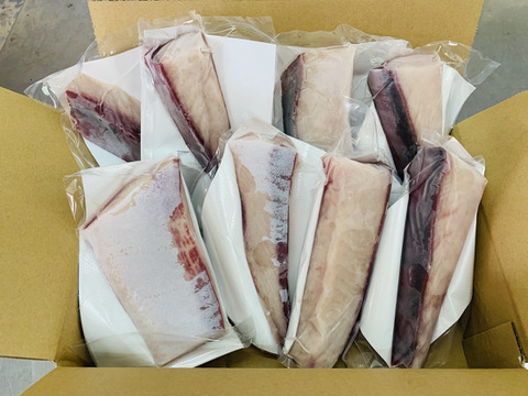 【廃棄する前に食べてください】獅子島産ブリ(養殖)お刺身用 半身分 8パック