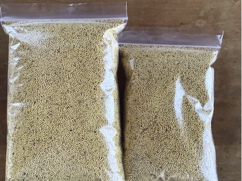 自然農で作りました！令和5年北杜市産もちあわ400g