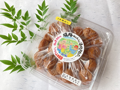 ☆無農薬☆無添加【南高梅の聖地☆紀州みなべ産】 昔ながらのすっぱい!梅干し (900g)