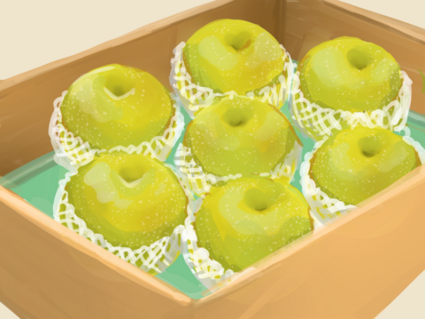 【みどり認定農家】鳥取県産『二十世紀梨』3キロ(8玉入り)