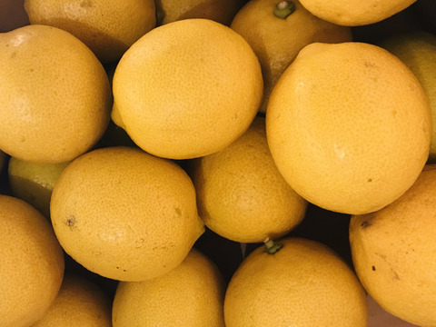 レモン花ハチミツ🍯90g ×1本
220g×1本　大自然のサプリメント