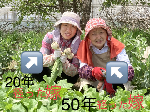 枝豆王国新潟から☆ブサイクなB品（2kg）　生産者は毎日この枝豆食べてます(^^)