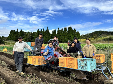 令和7年産定温貯蔵で熟成しました!!　甘くてしっとり♡　阿蘇小国のシルクスイート（8kg×2箱）