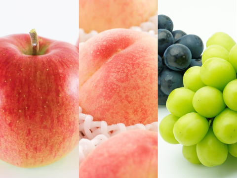 【食べチョク旬の食べ比べ便】露地栽培！シャインマスカット2房（1.0kg以上）