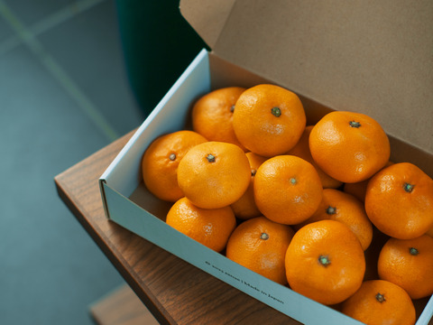 【贈答用にも】ギフトにピッタリ！さなえみかん 1kg（10個程度）