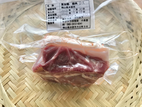 特Aクラス🏆✨イノシシ《ジビエ》【猪肉ロース 320g ブロック】260130-1