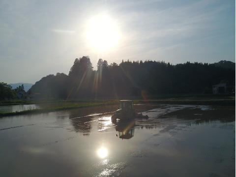 新潟県　南魚沼産コシヒカリ 精米３kg  [令和５年産]  八海山の里で実りました。