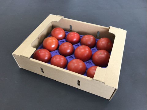 【９月下旬以降出荷分】あ、あまい・・！高糖度トマト 1.5kg　化学肥料・農薬完全不使用　青森県産