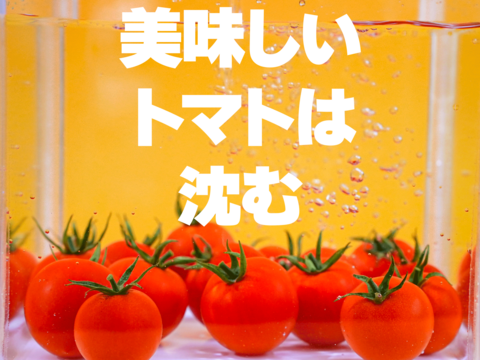 【母の日ギフト】フルーツトマト『ポモロッサ４パック入』※5月1日より順次発送開始！！