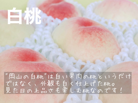 【家庭用】旬真っ盛り！７月中旬～８月中旬の岡山の桃　小箱 ４～６玉