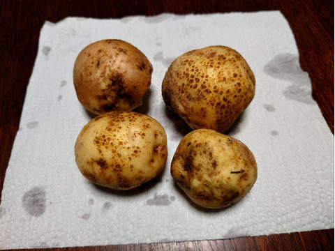 【自然栽培】【ちょっと訳あり❗】じゃがいも【キタアカリ】大きさ色々60サイズ　内容量1,8kg　※商品説明をご一読の上、「常温便」、「クール便」をご指定下さいませ。