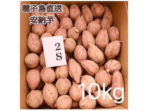 【絶品】aimo農園｜安納芋 2Sサイズ 10kg(箱別)