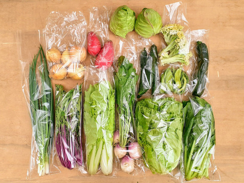 【父の日ギフト】まあるくはじけるポップコーン付き☆信州四賀より里山の旬野菜セット【mini　6品目】