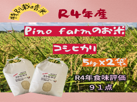 R4年産　Pino farmのお米　特別栽培米コシヒカリ　【５㎏×２袋】