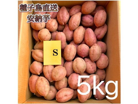 【絶品】aimo農園｜安納芋 Sサイズ 5kg(箱別)