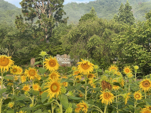 まじめなガーリックオリーブオイル140g×3p