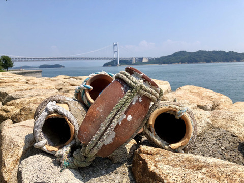 【リピ率高】やみつき《2袋セット》プリコリたこの唐揚げ★2人に1人がリピート★