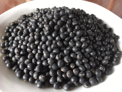 小粒黒豆の王様！黒千石大豆２５０ｇ、令和３年度産、農薬・化学肥料不使用、自然乾燥