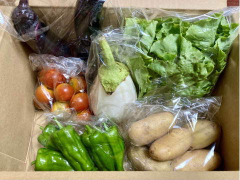 旬べじセット80サイズ：岐阜県産の野菜セット｜食べチョク