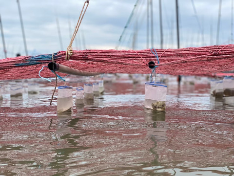 ＊5月1日から値上げすることになりました。今月末まで今の価格なので、この機会にぜひ！自分に、大切な方へ、、【ギフトBOX】   新月(味付のり)2袋・満月（焼きのり）2袋入り
