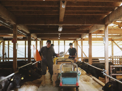 【１品限定】兵庫県産黒毛和牛（経産牛）「ツラミ（ブロック肉）　312g/真空パック」